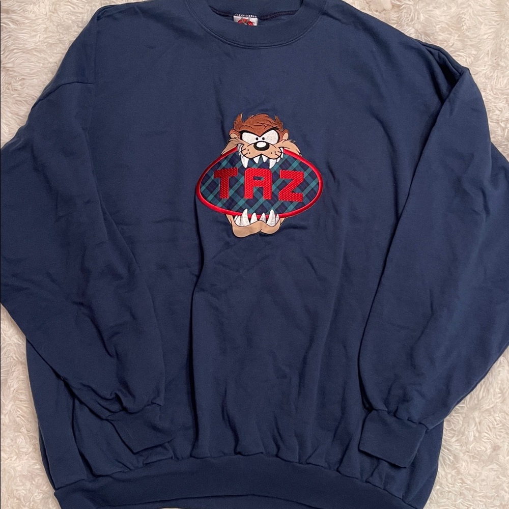 Vintage Warner Bros. Navy Looney Tunes Sweatshirt